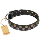 "Romantic Breeze" FDT Artisan Black Leather Amstaff Collar with Sparkling Circles