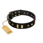 "De Luxe" FDT Artisan Black Leather Amstaff Collar with Old Bronze-like Plates and Studs