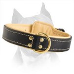 Royal Nappa Padded Hand Made Leather Dog Collar For Amstaff Breed