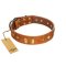 "Woofy Dawn" FDT Artisan Tan Leather Amstaff Collar with Plates and Rhombs