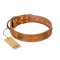 "Sun Beams" FDT Artisan Tan Leather Amstaff Collar with Decorations