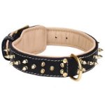 Premium Nappa Padded Leather Amstaff Dog Collar