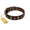 "Captain Hook" FDT Artisan Brown Leather Amstaff Collar with Stars and Skulls