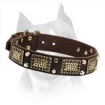 Amstaff Leather Collar with Brass Plates and Nickel Cones