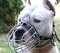 Wire Basket Dog Muzzle For Amstaff