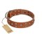 "Enchanted Skulls" FDT Artisan Tan Leather Amstaff Collar with Chrome Plated Skulls