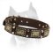 Amstaff Leather Collar with Brass Plates and Nickel Cones