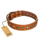 "Prez of the Pack" FDT Artisan Tan Leather Amstaff Collar with Skulls and Brooches