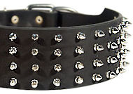 3 inch custom spiked collar for Astaff