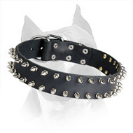Amstaff Breed Leather 2 Rows Spiked Dog Collar