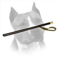 Loud Agitation Stick for Schutzhund Amstaff Training