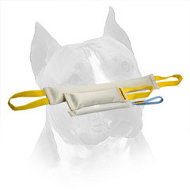 Fire Hose Bite Tugs Of Amstaff Training Set