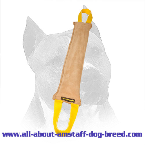 Gentle Leather Amstaff Bite Training Tug