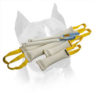 Double Amstaff Bite Training Set Of 6 Fire Hose Tugs