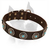 Stylish Wide Amstaff Leather Dog Collar With Blue Stones