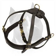 Super Comfortable Amstaff Breed Dog Harness For Pulling And Safe Walking