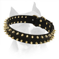 Stylish Spiked Leather Collar for Amstaff Dog Breed