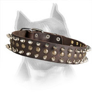 Spiked and Studded Passion Leather Dog Collar for Amstaff