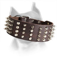 2 inch Leather Spiked and Studded Amstaff Dog Collar