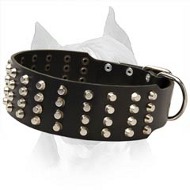 Wide Studded Leather Dog Collar For American Staffordshire Terrier