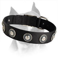 American Staffordshire Terrier Nylon Dog Collar With Silver Conchos