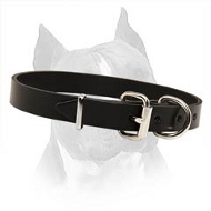 Leather Field Dog Collar for Amstaff