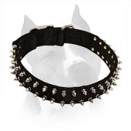 Black Nylon Spiked Dog Collar For American Staffordshire Terrier