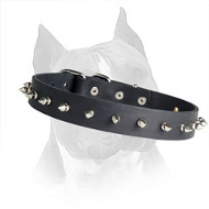 Leather Spiked Amstaff Dog Collar