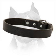 Strong Easily Adjustable Amstaff Dog Leather Collar