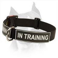 Amstaff Nylon Dog Collar With Identification Patches