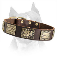 Luxurious Decorated Leather Dog Collar For Amstaff Dog Breed
