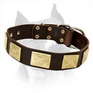 Wonderful Leather Dog Collar With Vintage Brass Plates For Amstaff