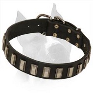 Amazing Leather Dog Collar With Plates For Amstaff Dog Breed