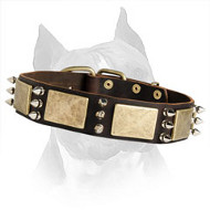 Shining Leather Amstaff Dog Collar With Spikes And Plates