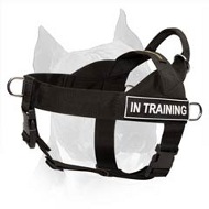 Nylon Dog Harness With Identification Patches For Amstaff Dog Breed