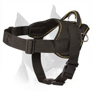 Light-Weight Easy Walking Nylon Amstaff Dog Harness