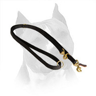 Practicable Nylon Amstaff Dog Lead