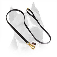 All Weather Tracking, Training, Walking Nylon Amstaff Dog Leash