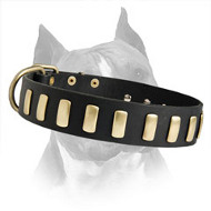 Fantastic Wide Leather Dog Collar With Plates