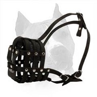 Everyday Light Weight Super Ventilated Dog Muzzle