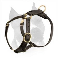 Comfortable Amstaff Leather Dog Harness For Tracking And Jogging