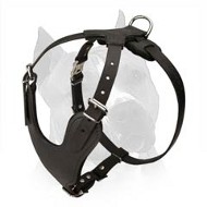 Heavy Duty Dog Harness for Amstaff