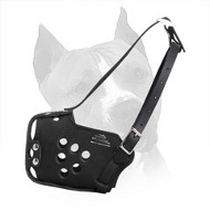Attack/Agitation Training Leather Amstaff Muzzle