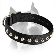 Amstaff Nylon Dog Collar With 1 Row Of Silver Plated Pyramids