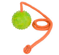 Training DOG BALL on a String-Dog Rubber Ball for Amstaff