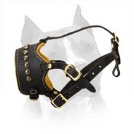 Decorated Nappa Leather Amstaff Dog Muzzle