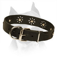 'Flower Blues' Leather Amstaff Collar for Walking in Style