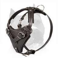 Agitation Leather Dog Harness For Amstaff Dog Breed