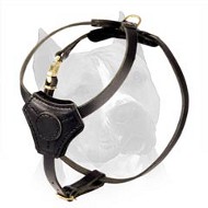 Small Leather Dog Harness for Amstaff Puppy
