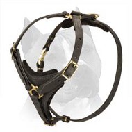 Handcrafted Leather Amstaff Dog Harness For Safe Walking
